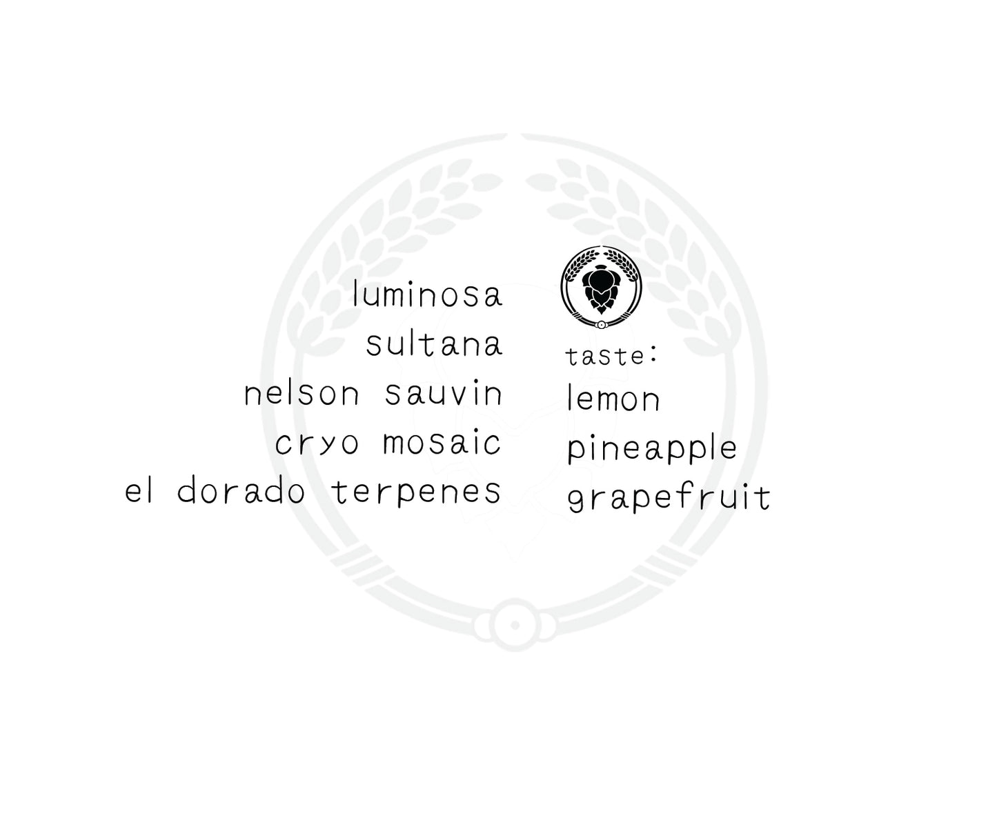 hoppopotamus - ホッポポタマス