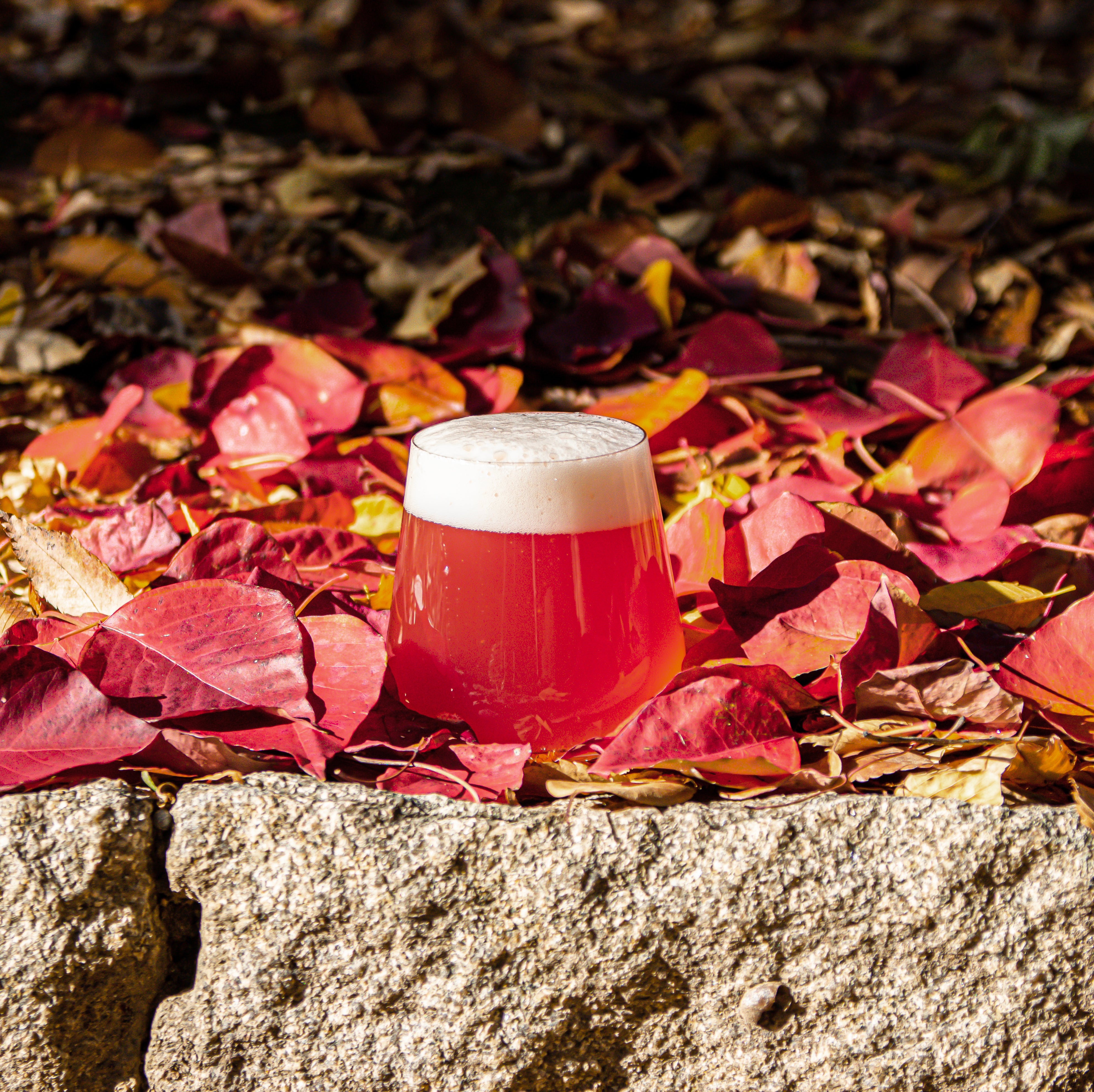 Aka Uzume – Nomodachi